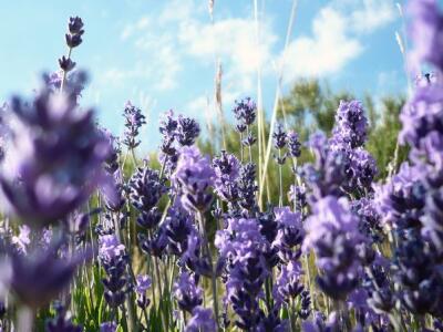 最好利用一个孤独的人的时间来使自己变得更好