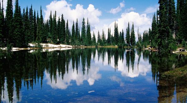 深入了解真实的人心