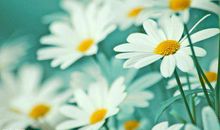 朋友友情的感恩的句子说说心情说说心情