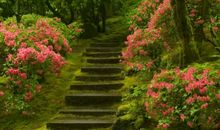 思念老婆的好句好语