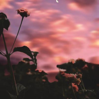 岁月从我的指尖流逝