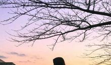 人生游玩开心的句子