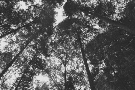 以下是这本美丽小说的断句