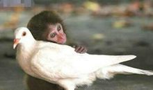 好笑的语录：每天看着不同口味的安眠药在讲台上走来走去