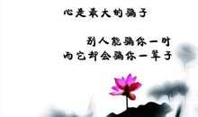 对人生感慨的句子