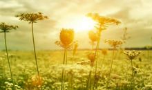 2020年最火的的句子