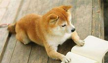 逗别人开心的句子