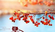 每日正能量句子