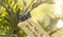 朋友圈开心的说说