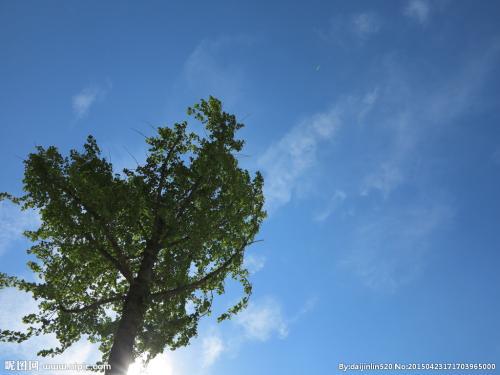 请欣赏小编整理的描述今天特别开心的句子