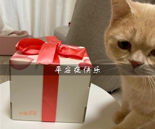 今天是圣诞节前夕