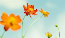 等我有钱了的搞笑说说