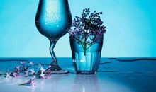 有关亲情的优秀句子