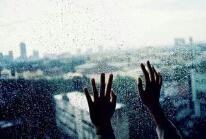 并失去了对他们的感情