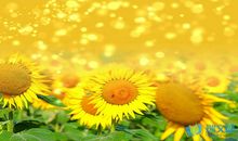 周末正能量一句话