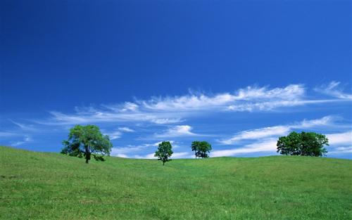 希望大家都喜欢 1