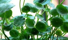 2019幸福开心的句子