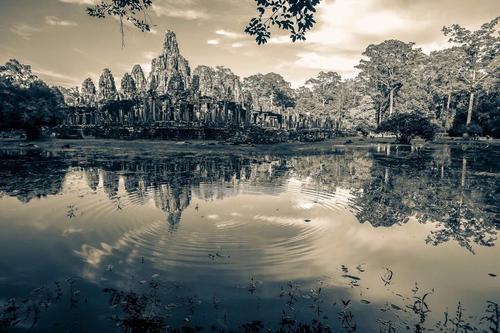 但是结果却是绝望