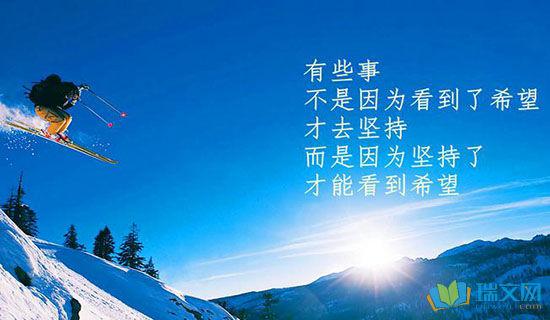 每个人的生活都不会是一匹马