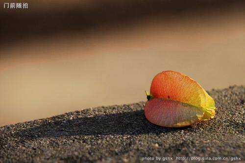 编辑整理了一些有关沮丧的抑郁的寓意