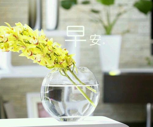 新的一天又开始了