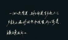 社会经典语录太经典