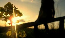 心碎杯子也碎了的句子