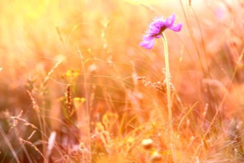 让我们看看编辑很高兴见到您的句子