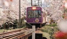 最新抖音正能量句子 超暖心治愈的正能量说说