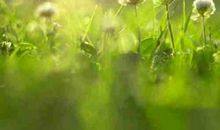 关于开心工作的句子