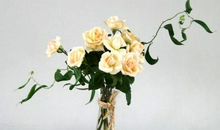 描写内心开心的句子