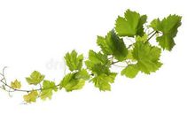 安慰不开心人的句子