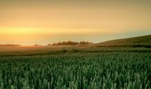 有关哲理的句子有哪些