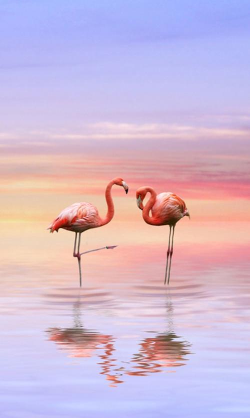 幸福的句子可以很美