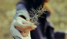 关于读书的人生哲理句子