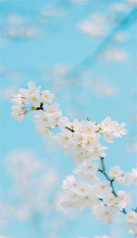 请欣赏小编为表达幸福而组织的优美句子