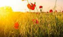 有深度有品味的经典句子