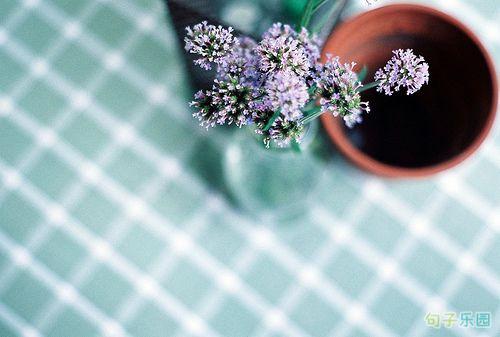 每个令人难忘的记忆都布满了一个坑洞