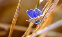 超越昨天的自己励志语 敢于超越的励志句子