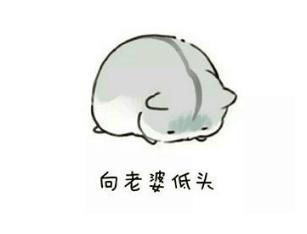 西施在情人眼中