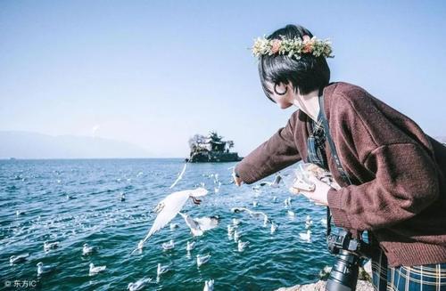 编辑为他的同伴的旅途和幸福写了一些漂亮的句子