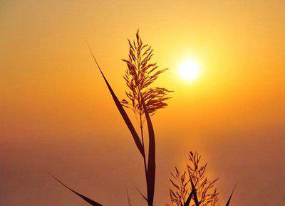 描述快乐的句子是什么