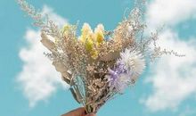 能逗妹子开心的句子