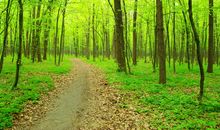 夏天美得让人开心的句子