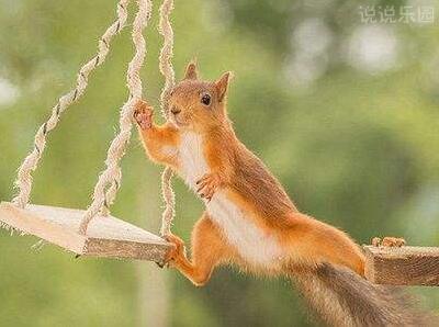 一年只能说一个字