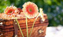 后悔选择你的句子