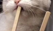 幽默惹开心的句子