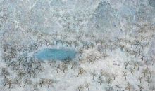 表示对公婆失望的句子