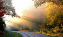 选错了路后悔的句子