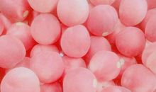 活得很开心的句子